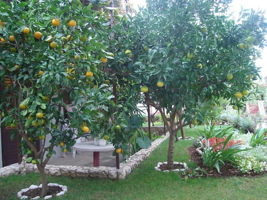 Apartment Mia - Spacious Apartment On 85 M2 With Beautiful Sea View Trogir Dış mekan fotoğraf
